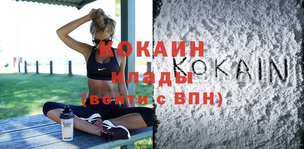 шишки Володарск