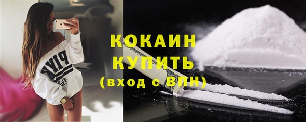 шишки Володарск