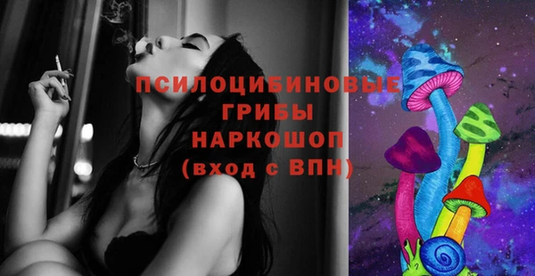 шишки Володарск