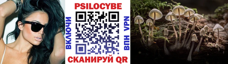 Галлюциногенные грибы ЛСД  Купить закладки  Михайлов 